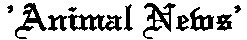 Animal News 3D Banner