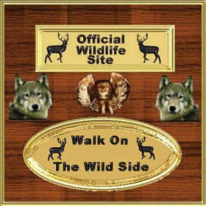 wildlife plaque